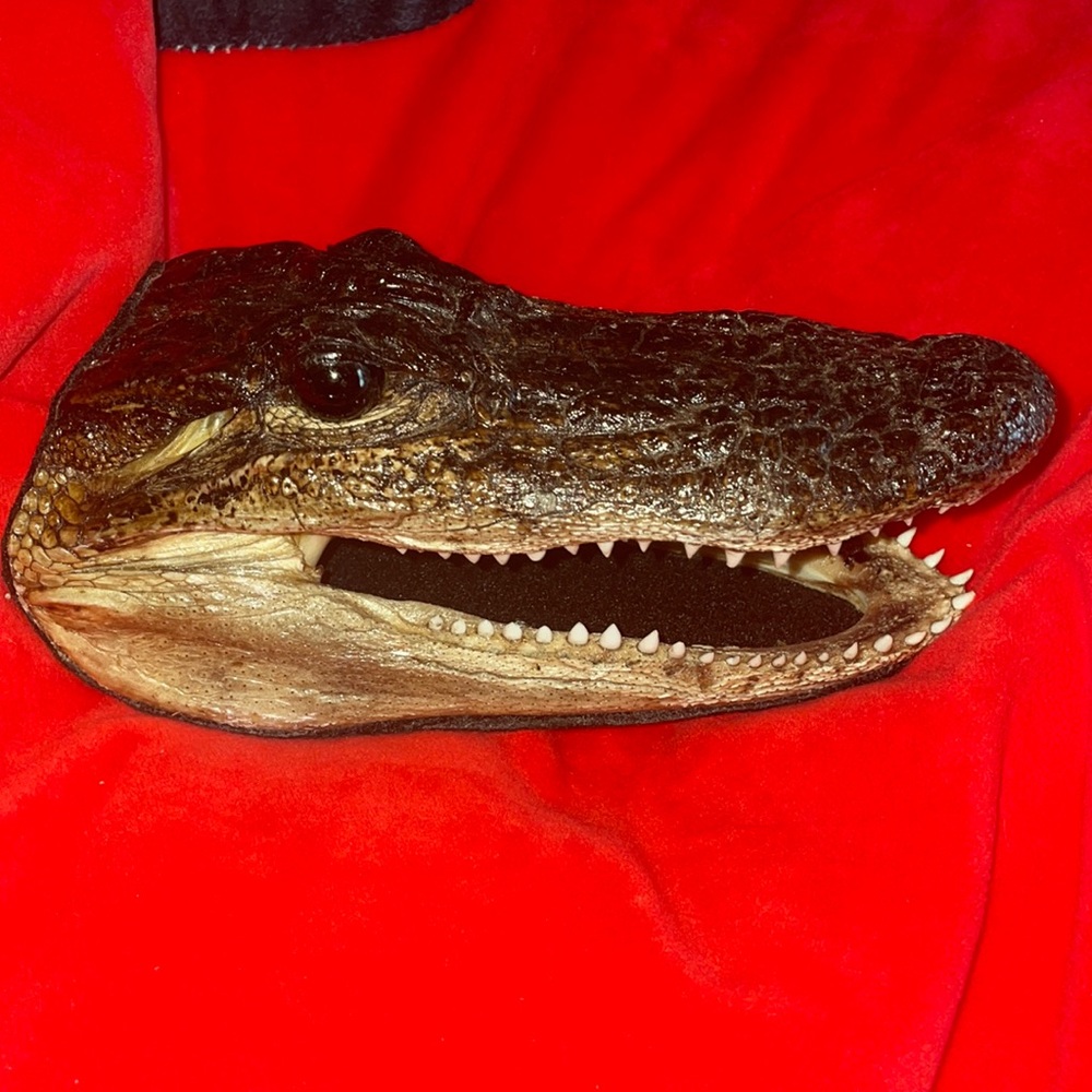 VEGAN alligator art crocodile art gator head art piece not real faux leather